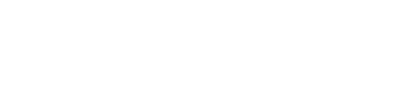 Rivvet
